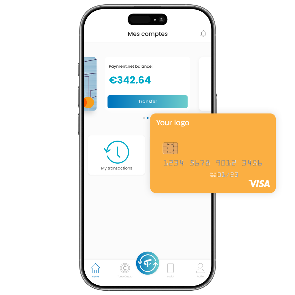 Etablissement de paiement (EP)
